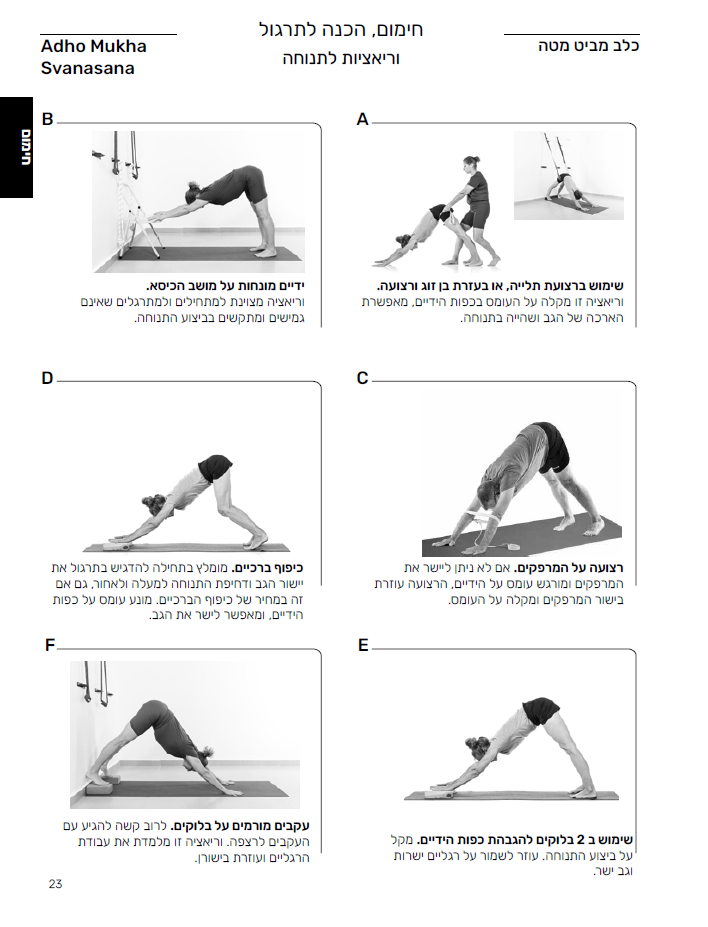 ספר תרגול יוגה SelfYoga